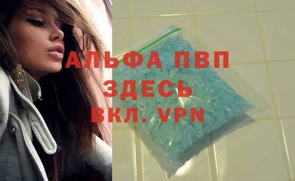 спайс Алагир