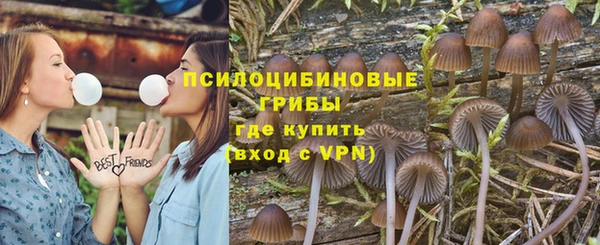 герыч Медногорск