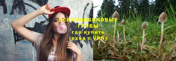 spice Мегион