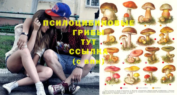 эйфоретик Магас