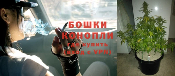 spice Мегион
